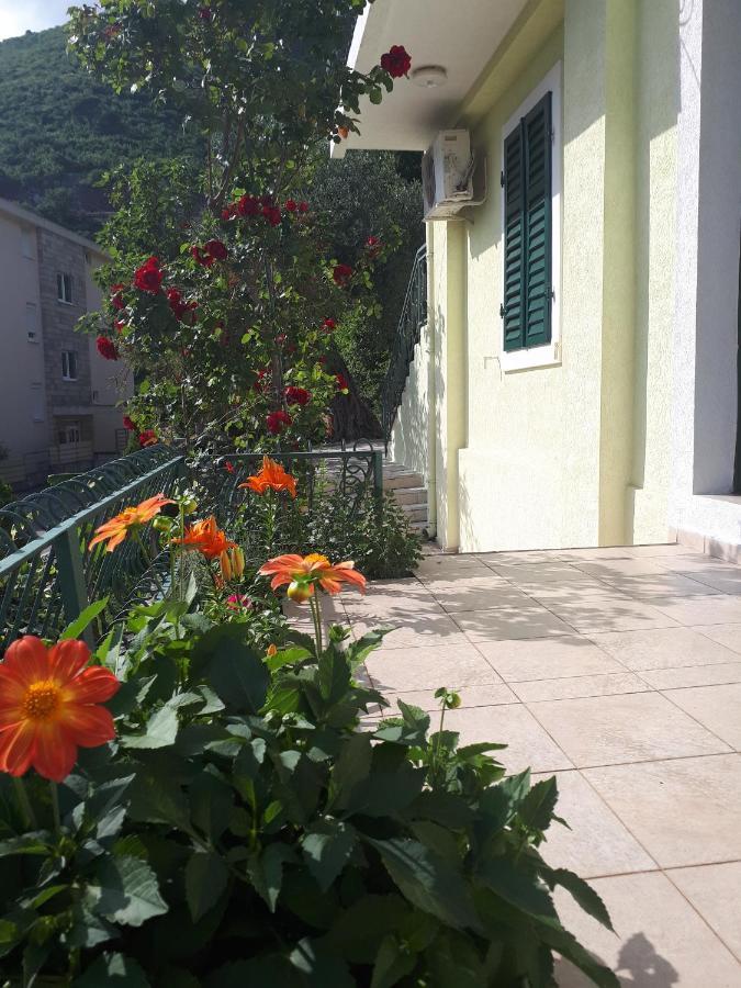 Apartments Simo Petrovac Dış mekan fotoğraf