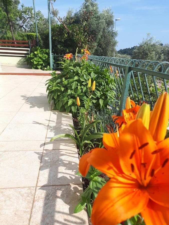 Apartments Simo Petrovac Dış mekan fotoğraf