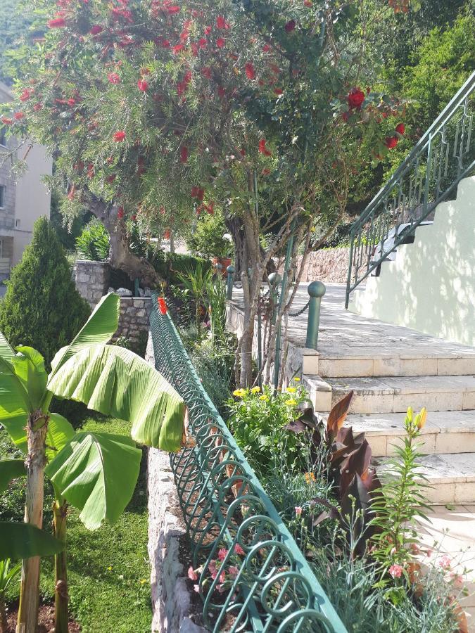 Apartments Simo Petrovac Dış mekan fotoğraf