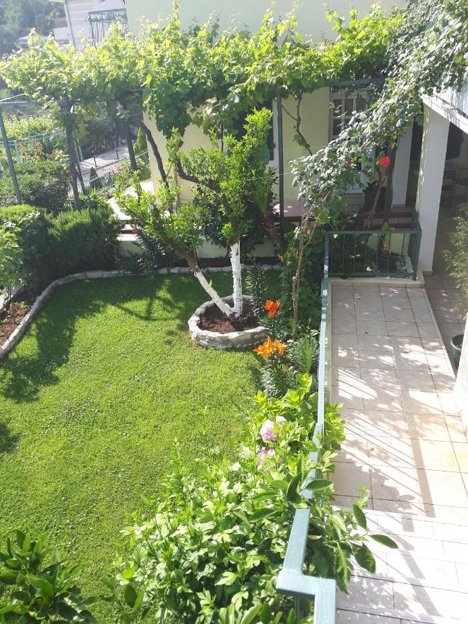 Apartments Simo Petrovac Dış mekan fotoğraf