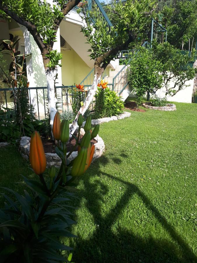 Apartments Simo Petrovac Dış mekan fotoğraf