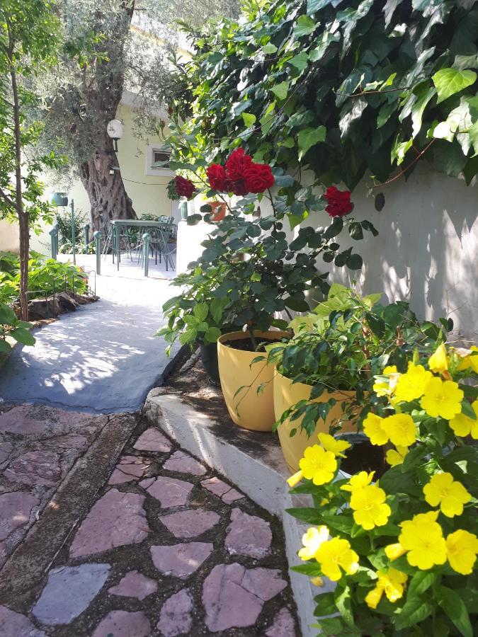 Apartments Simo Petrovac Dış mekan fotoğraf