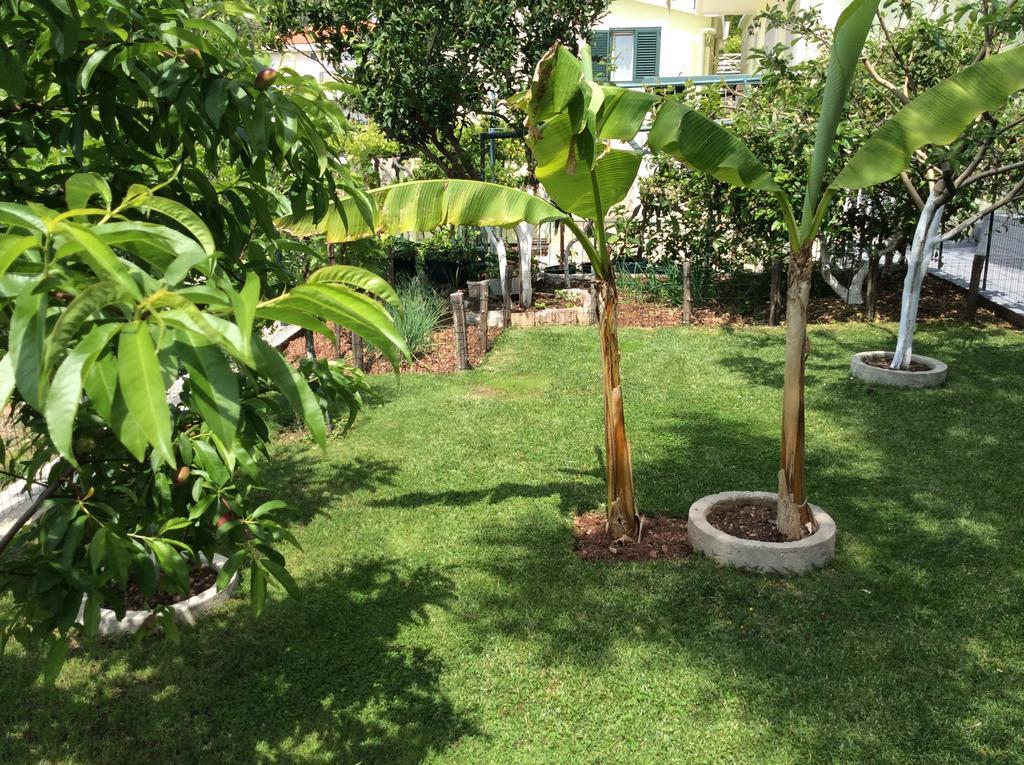 Apartments Simo Petrovac Dış mekan fotoğraf