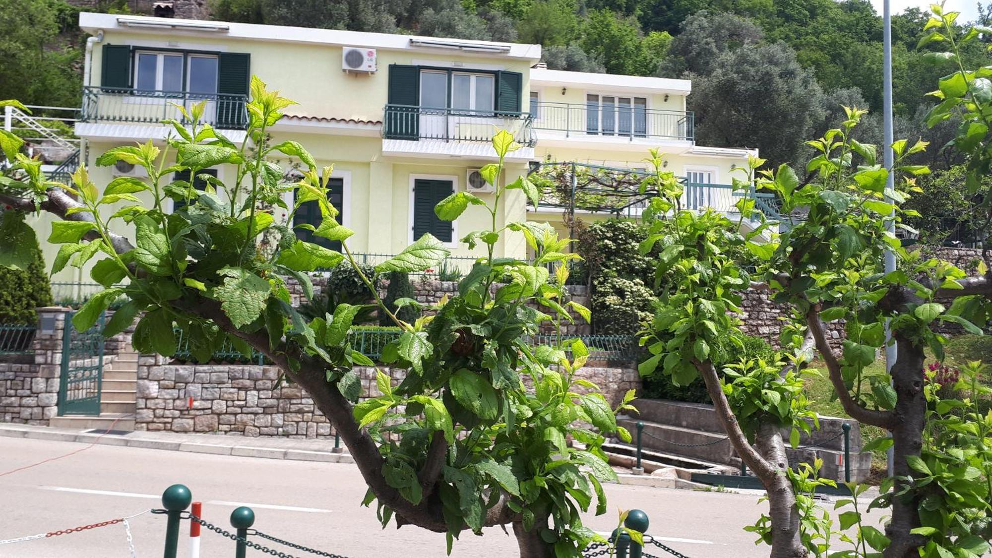 Apartments Simo Petrovac Dış mekan fotoğraf