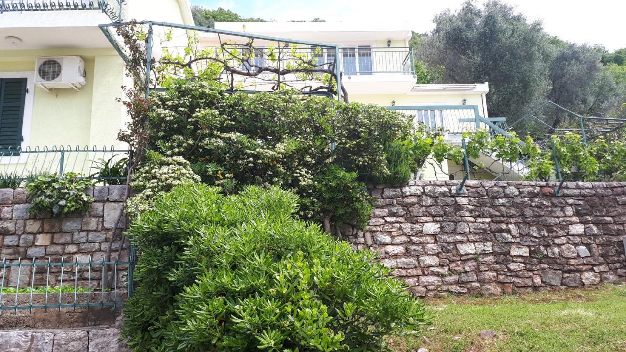 Apartments Simo Petrovac Dış mekan fotoğraf